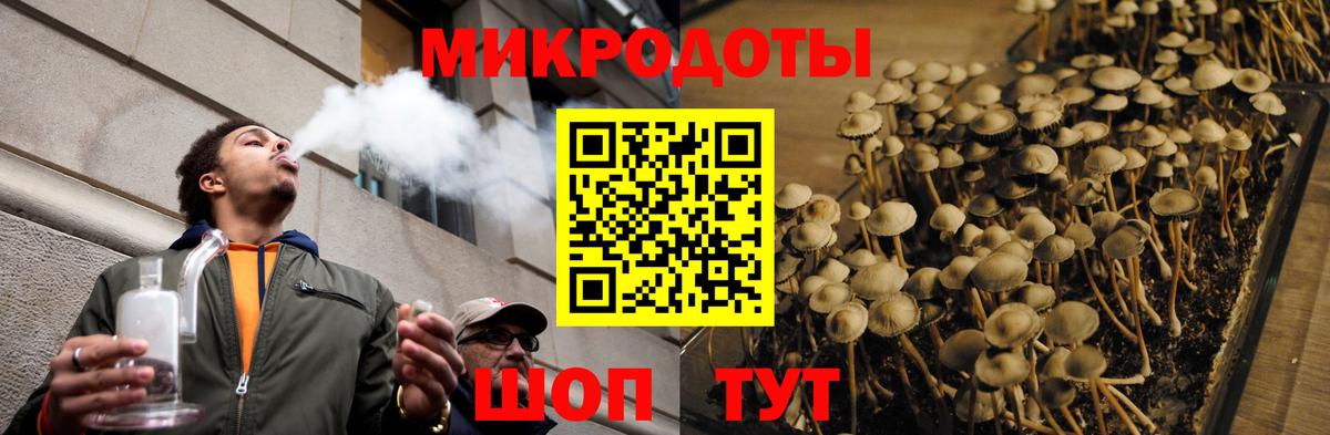 Псилоцибиновые грибы Cubensis  Псилоцибиновые грибы Cubensis  Пыть-Ях  Вход с VPN 